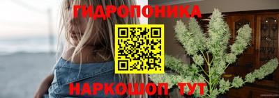 каннабис Кандалакша