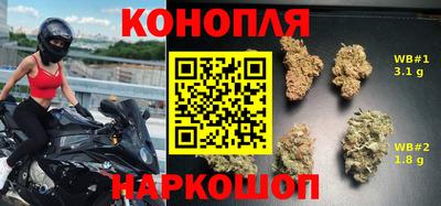 ГАЛЛЮЦИНОГЕННЫЕ ГРИБЫ Камышлов