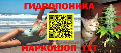 каннабис Кандалакша