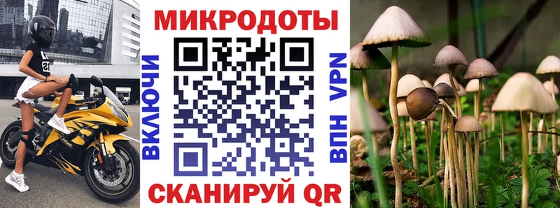 где продают   Ливны  Псилоцибиновые грибы мицелий 