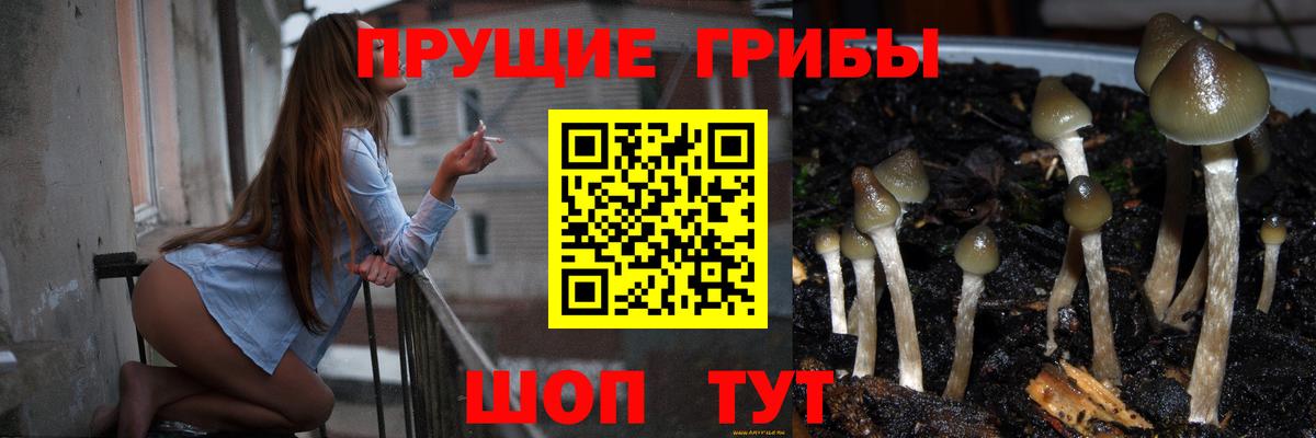 Галлюциногенные грибы мицелий  Галлюциногенные грибы мухоморы  Ливны  Вход с VPN 